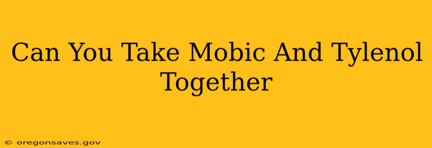 Can You Take Mobic And Tylenol Together