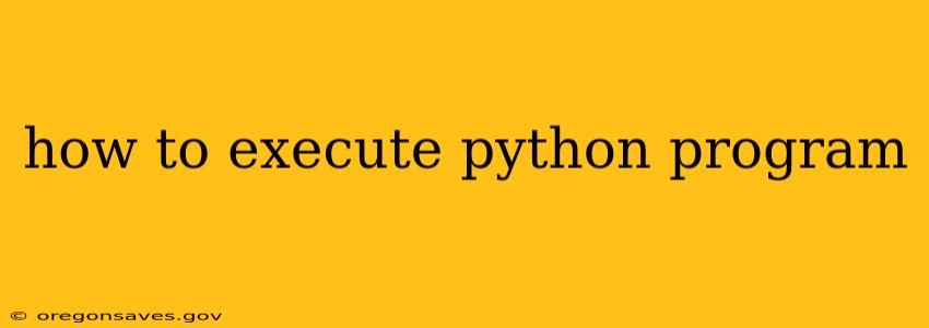how to execute python program