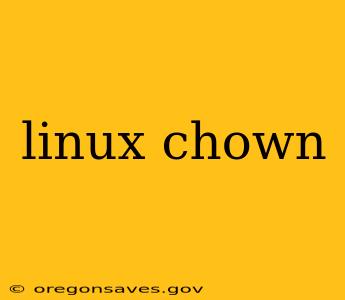 linux chown