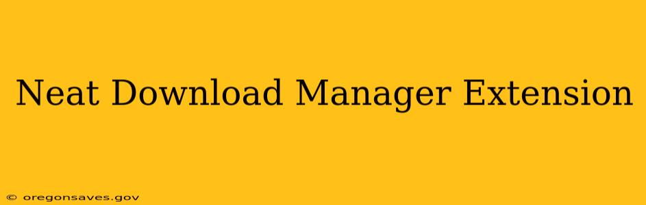 Neat Download Manager Extension