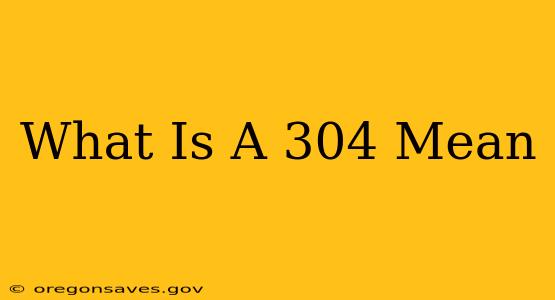 What Is A 304 Mean