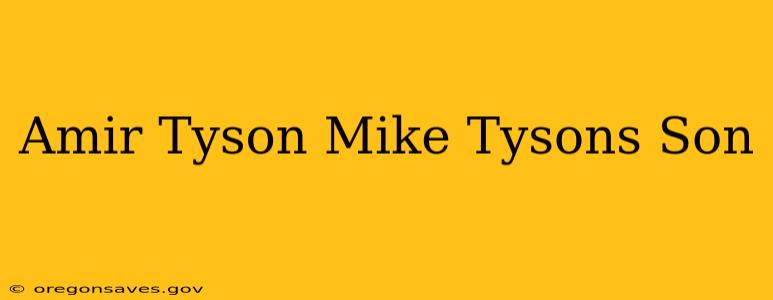 Amir Tyson Mike Tysons Son