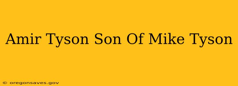 Amir Tyson Son Of Mike Tyson