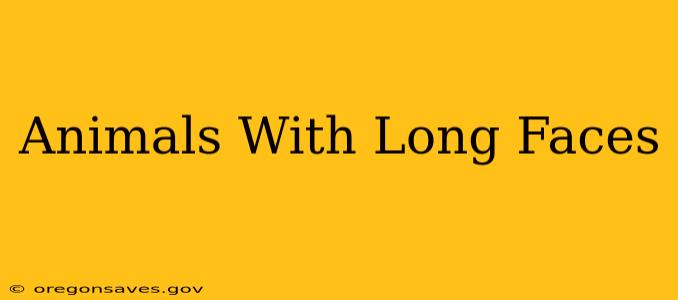 Animals With Long Faces