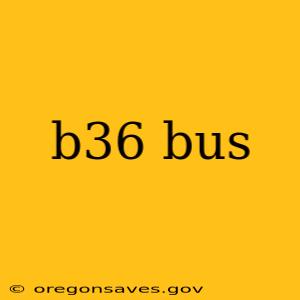 b36 bus