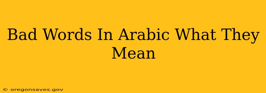 Bad Words In Arabic What They Mean