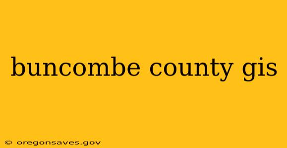 buncombe county gis