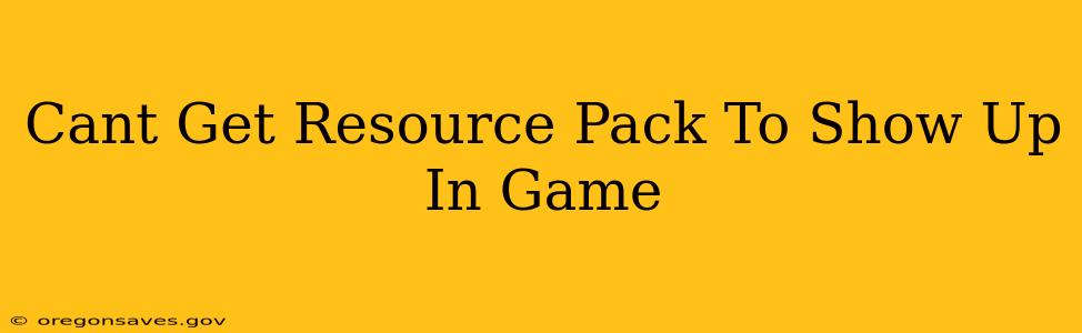 Cant Get Resource Pack To Show Up In Game