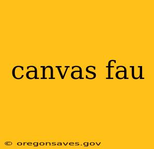 canvas fau