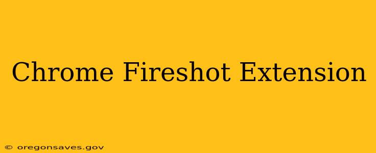 Chrome Fireshot Extension