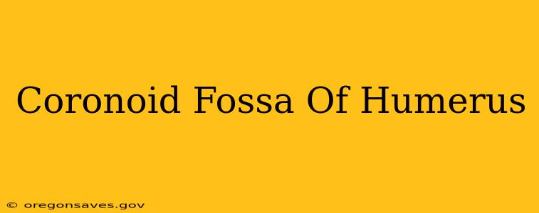 Coronoid Fossa Of Humerus