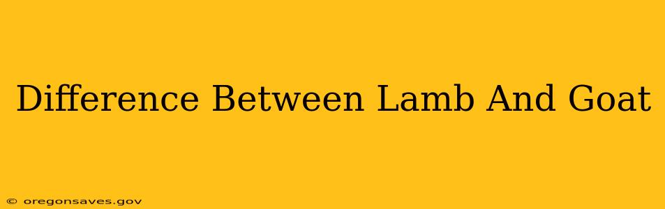 Difference Between Lamb And Goat