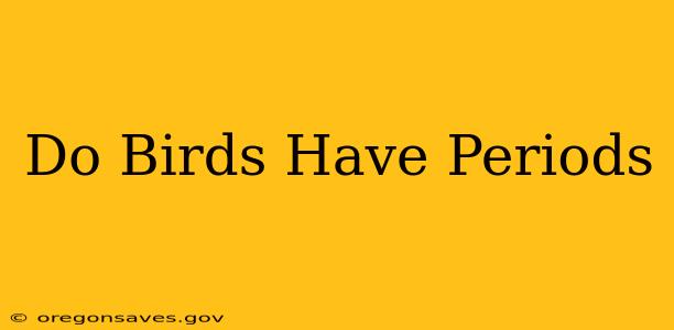 Do Birds Have Periods