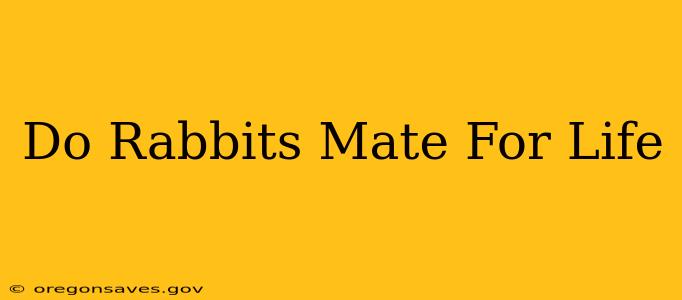 Do Rabbits Mate For Life