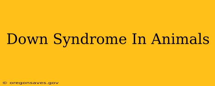 Down Syndrome In Animals