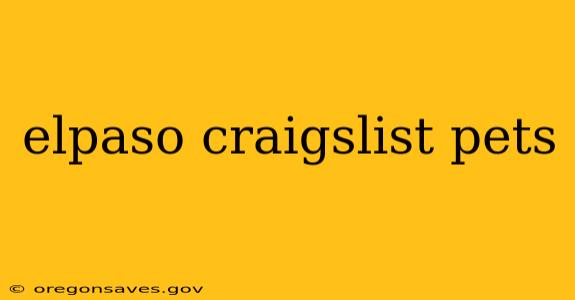 elpaso craigslist pets
