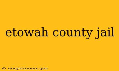 etowah county jail