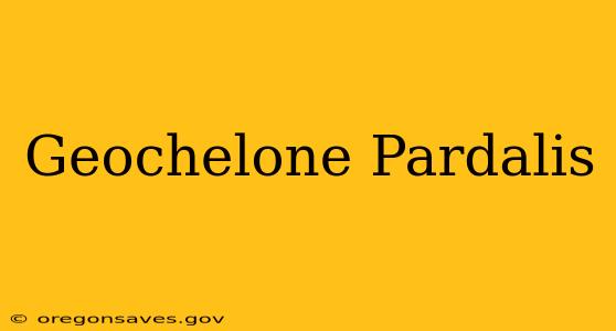 Geochelone Pardalis