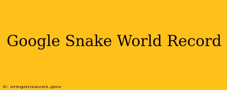 Google Snake World Record