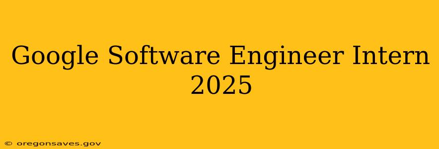 Google Software Engineer Intern 2025
