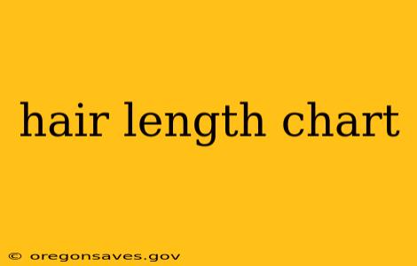 hair length chart