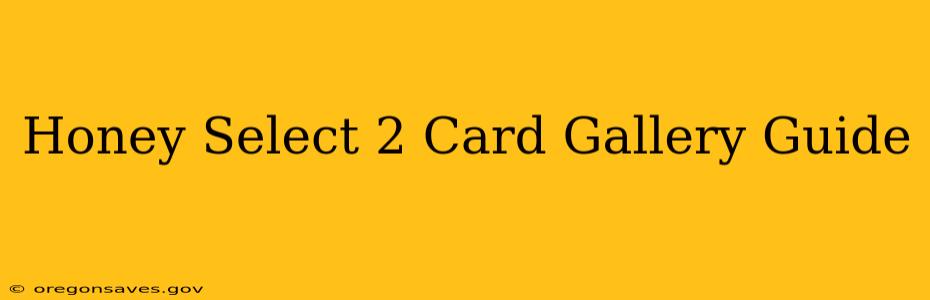 Honey Select 2 Card Gallery Guide