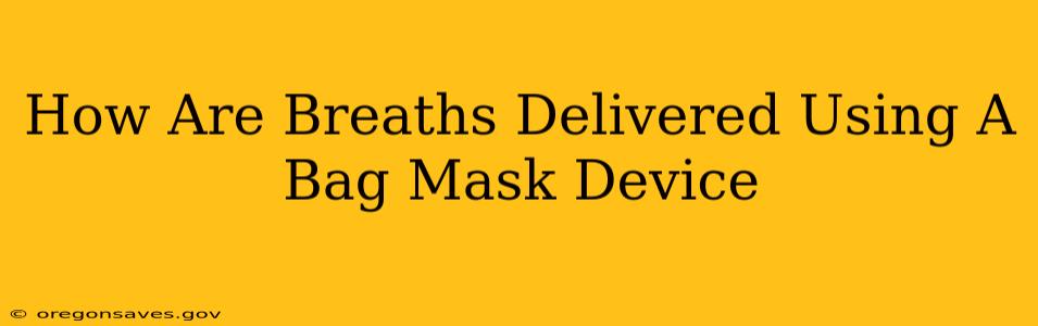 How Are Breaths Delivered Using A Bag Mask Device