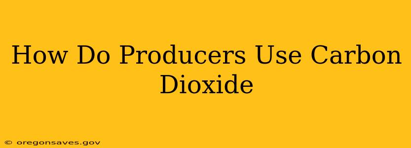 How Do Producers Use Carbon Dioxide