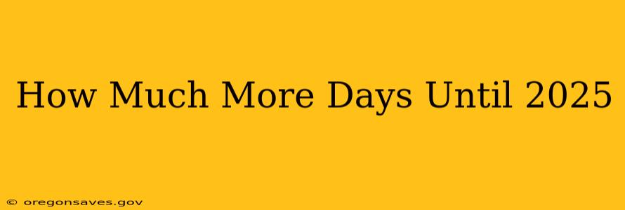 How Much More Days Until 2025