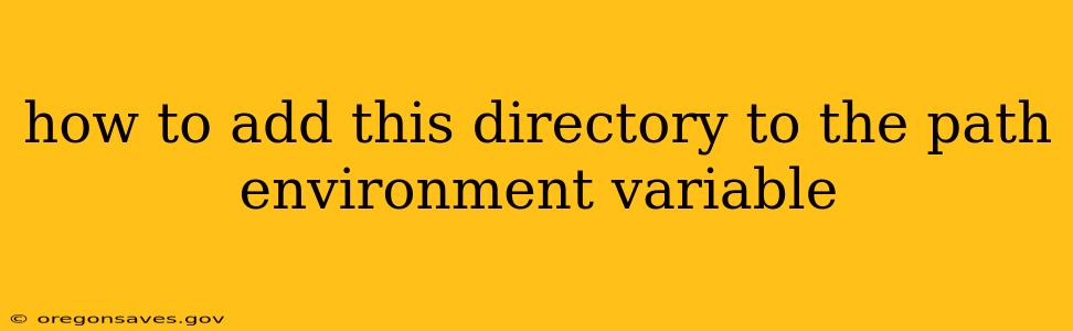 how to add this directory to the path environment variable