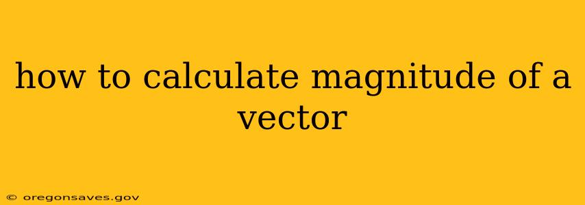 how to calculate magnitude of a vector