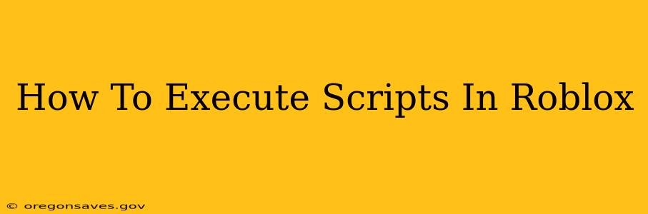 How To Execute Scripts In Roblox