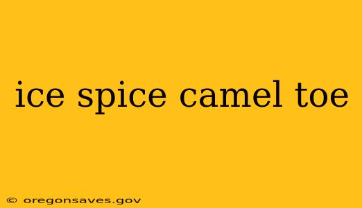 ice spice camel toe