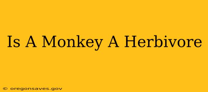 Is A Monkey A Herbivore