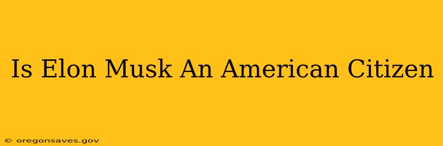 Is Elon Musk An American Citizen