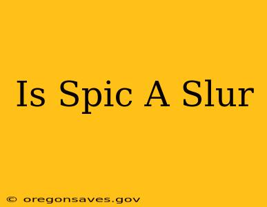 Is Spic A Slur