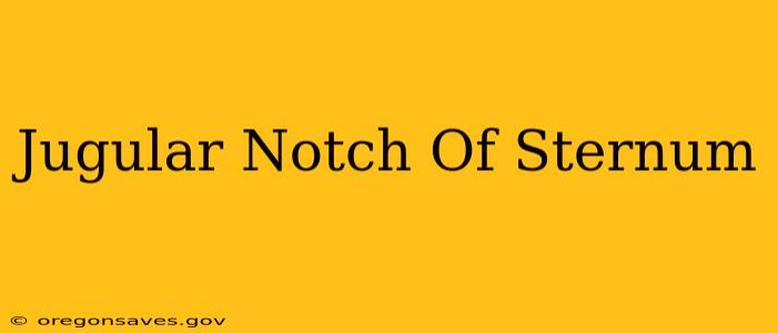 Jugular Notch Of Sternum