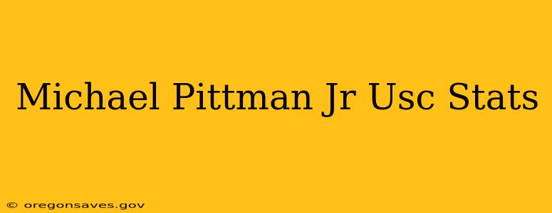 Michael Pittman Jr Usc Stats