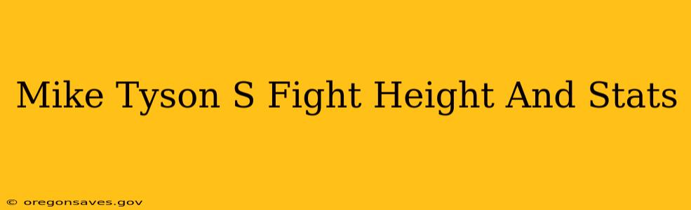 Mike Tyson S Fight Height And Stats