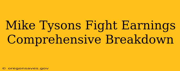 Mike Tysons Fight Earnings Comprehensive Breakdown