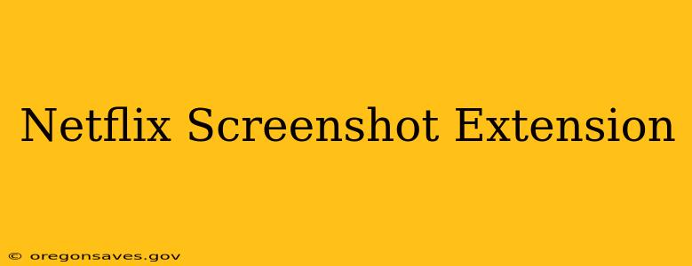 Netflix Screenshot Extension