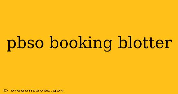 pbso booking blotter