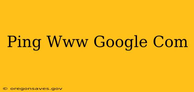 Ping Www Google Com