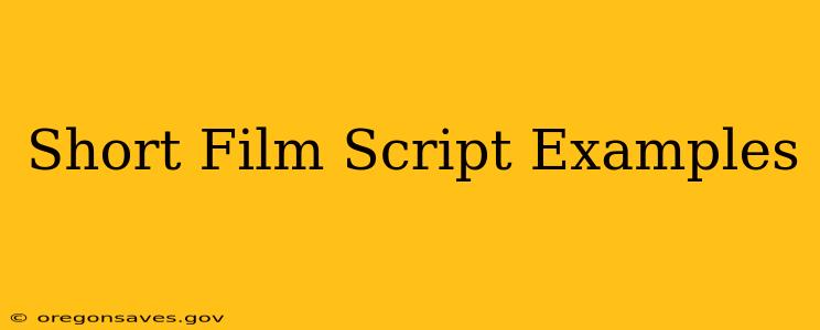 Short Film Script Examples