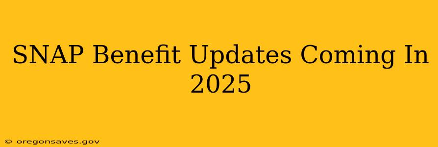 SNAP Benefit Updates Coming In 2025
