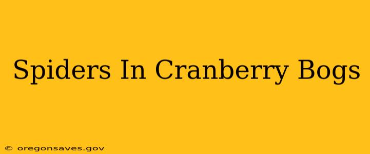Spiders In Cranberry Bogs