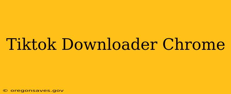Tiktok Downloader Chrome
