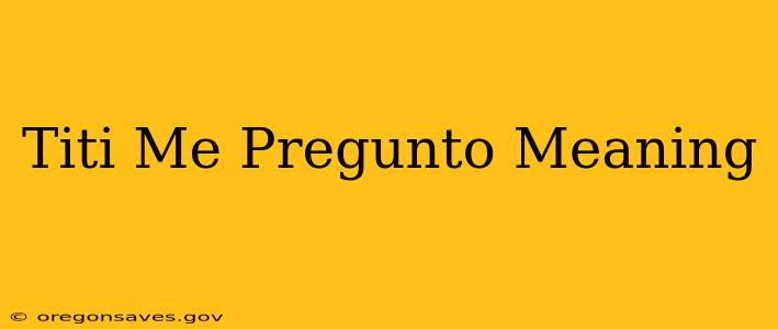 Titi Me Pregunto Meaning