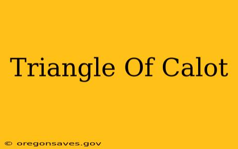 Triangle Of Calot