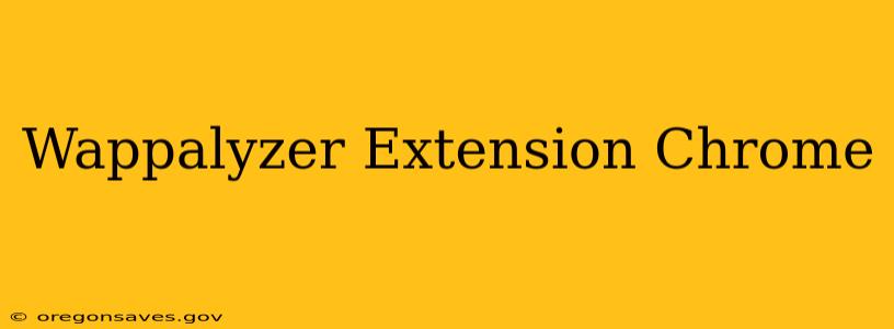 Wappalyzer Extension Chrome